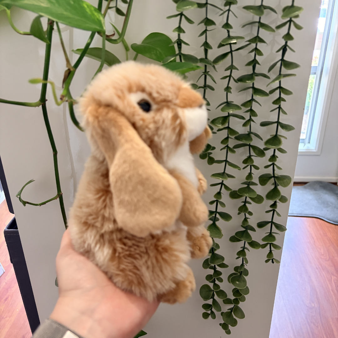 Brown Sitting Lop Rabbit | Living Nature | Plushie