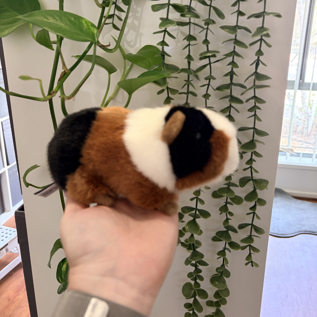 Guinea Pig | Living Nature | Plushie