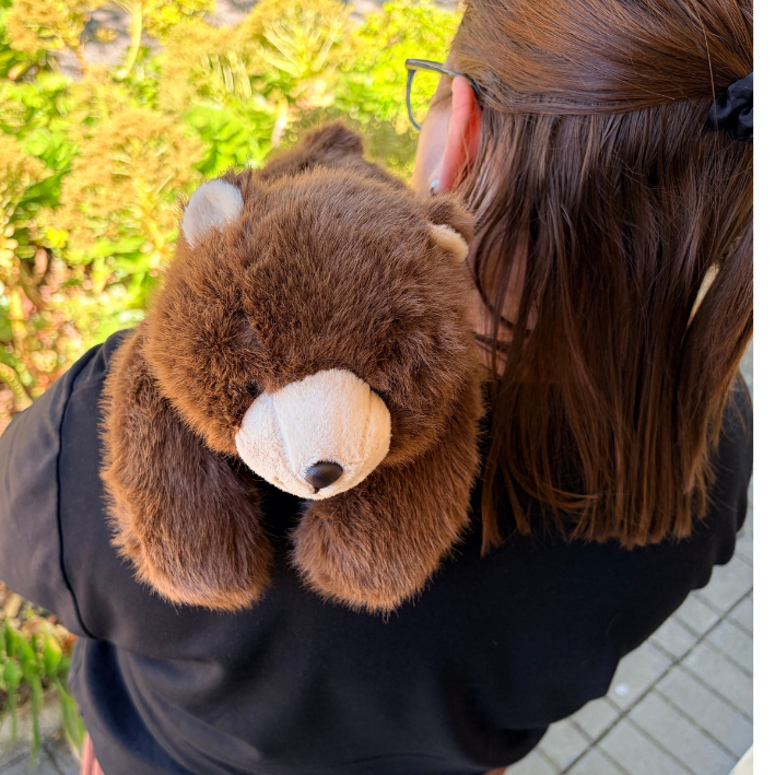 Bear 30cm | Mad Ally | Weighted Plush Toy