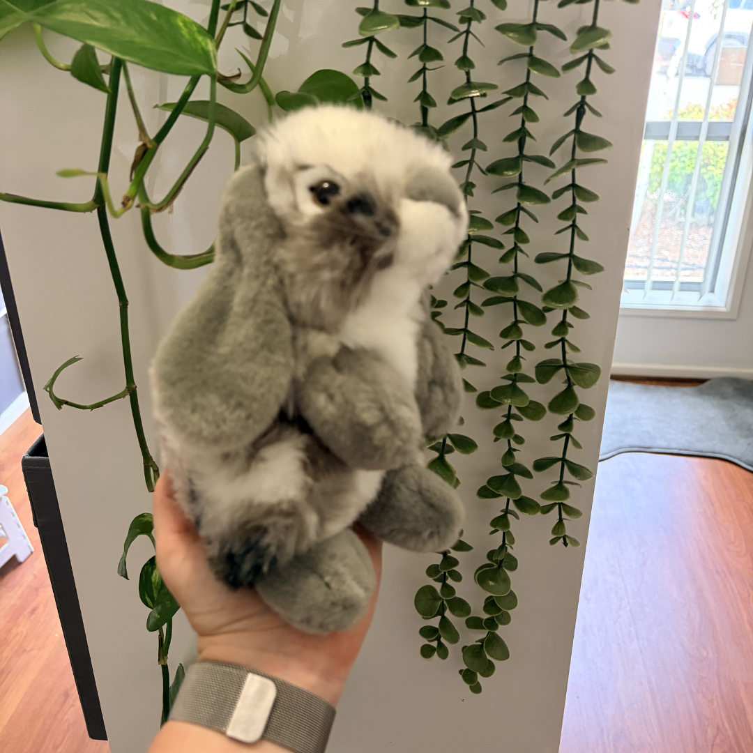 Grey Sitting Lop Rabbit | Living Nature | Plushie