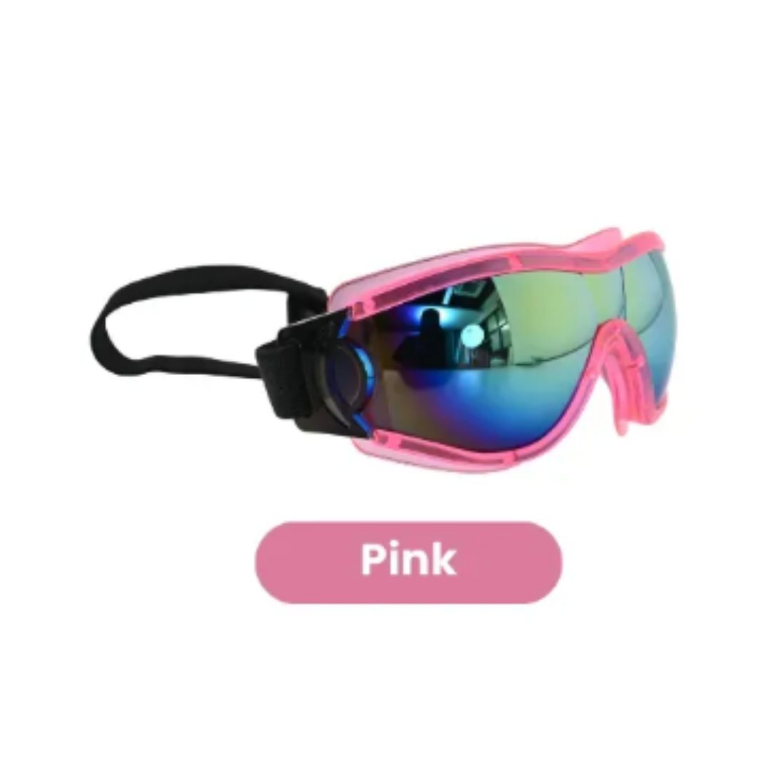 Large Goggles | Assorted Colours