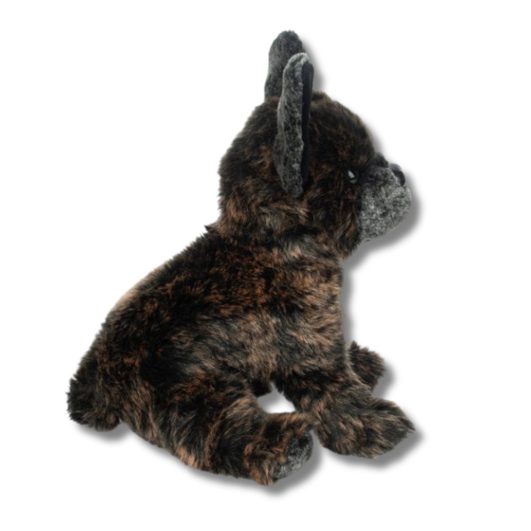 Billie French Bulldog | Douglas Dog