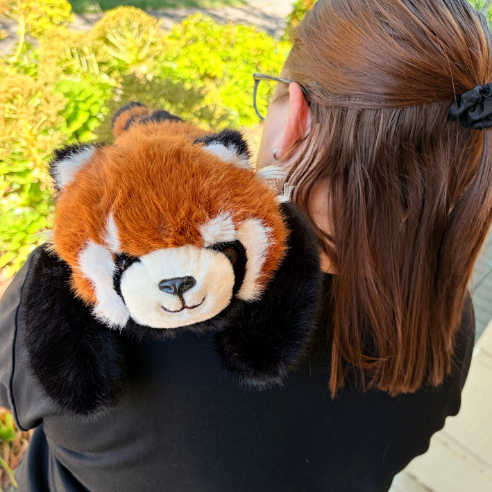 Red Panda 30cm | Mad Ally | Weighted Plush Toy