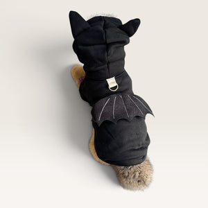 Black Hoodie for pet with bat wings for halloween on a plushie dog on a white backgorund.