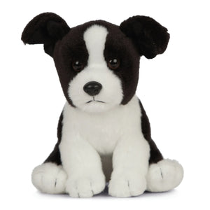 Black and white stuffed dog toy on a white background
