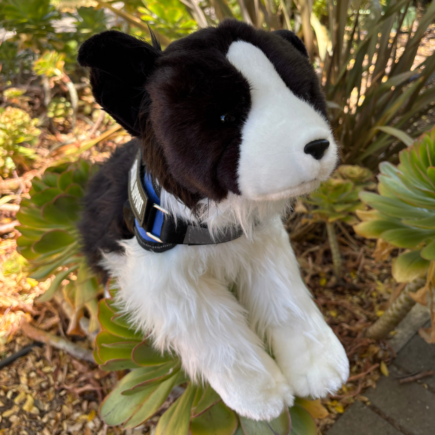 Plush toy dog with a blue collar in a garden setting