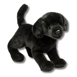 Chester Black Lab Douglas Dog side view