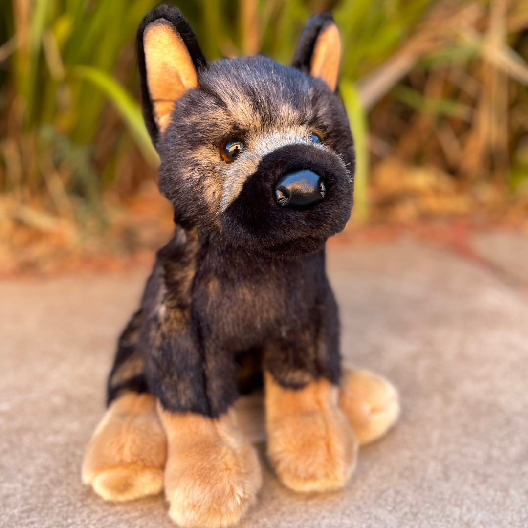 Chief German Shepherd by Douglas Dog siting in front of green bushes