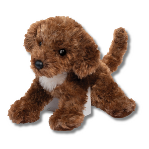 Darby Doodle Douglas Dog lying down