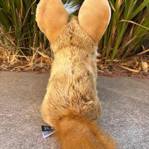 Fennec Fox by Living Nature back view