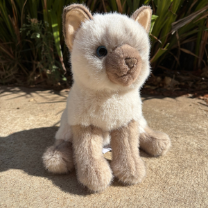 Fu Siamese Cat Douglas Cuddle Toy plush cat