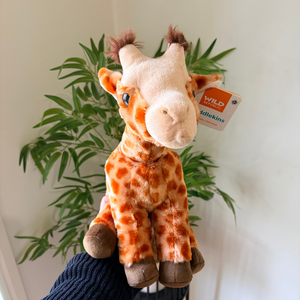 A plush giraffe toy with an orange and cream pattern, held up by a hand in front of a green potted plant and white wall. The tag on the ear shows the brand 'Wild Dalmatins' and the line name 'ideldkins'.