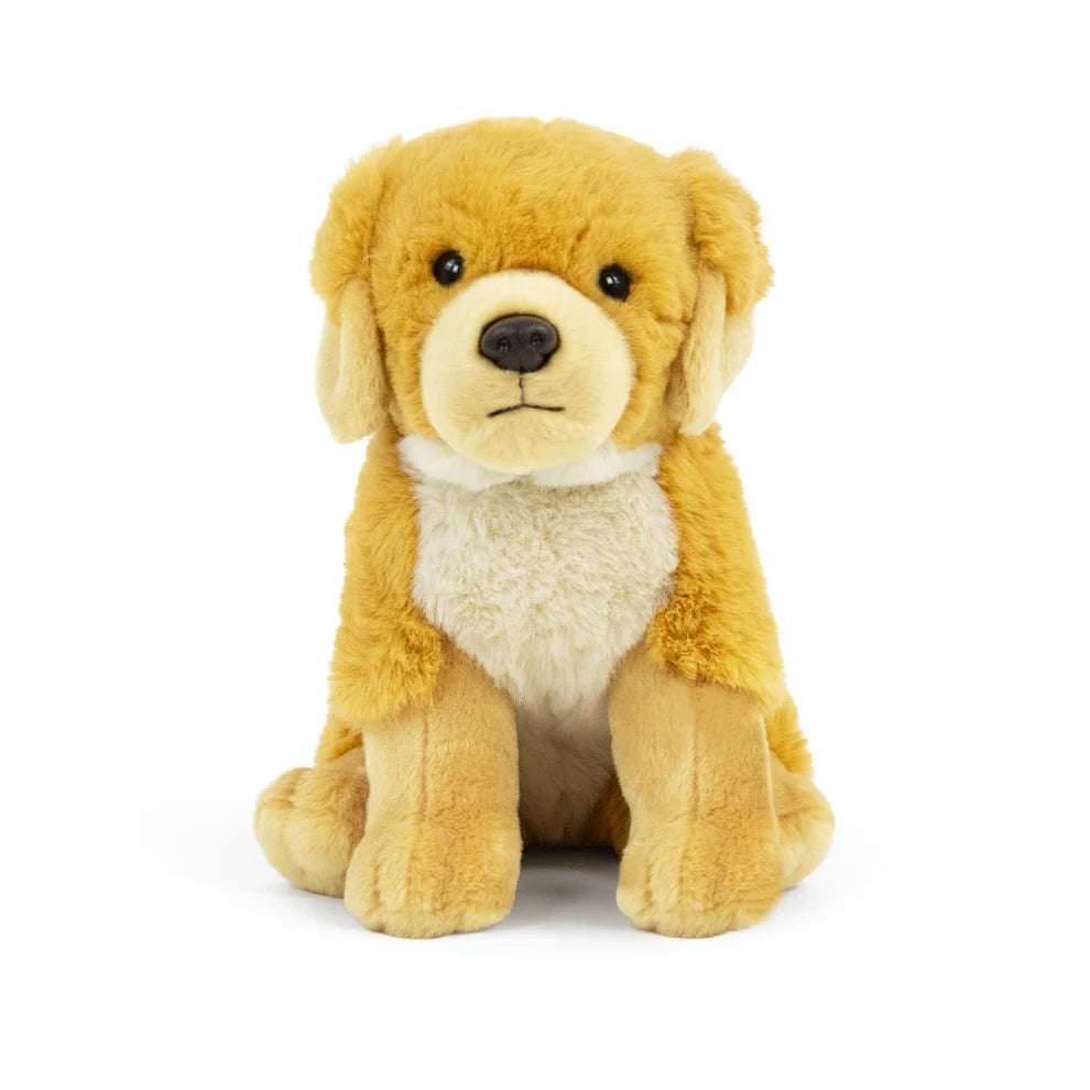 A plush golden retriever dog toy sitting on a clean white background.