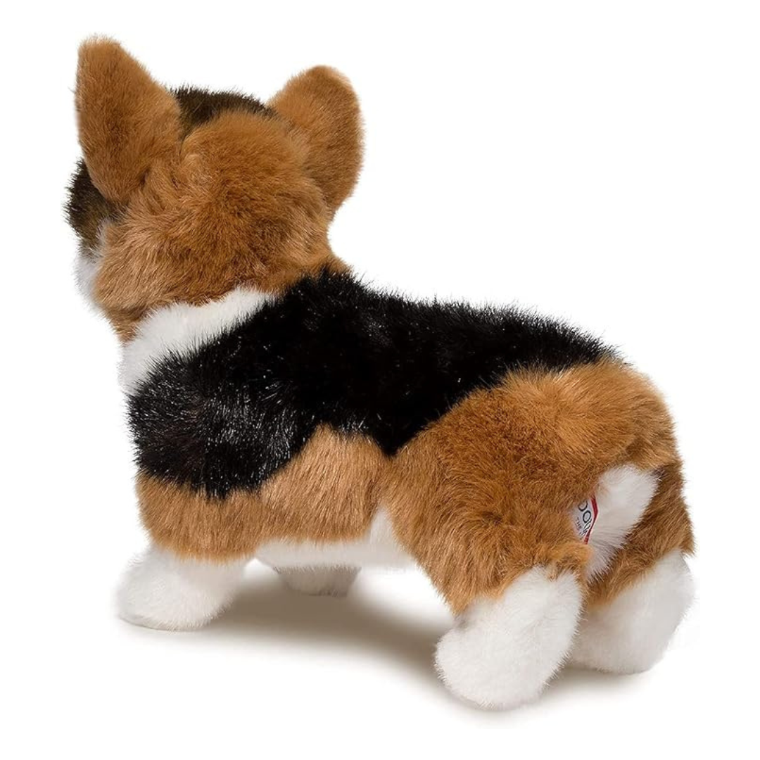 Kirby Tri-Corgi | Douglas Dog