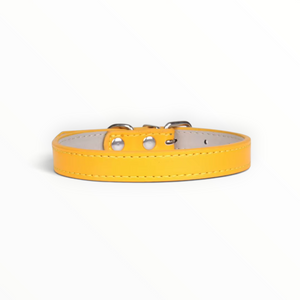 A yellow leather dog collar with silver metal hardware and white stitching, shown against a plain white background.