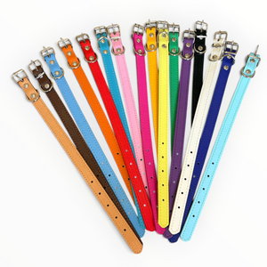 A row of 16 different coloured leather dog collar with silver metal hardware and white stitching, shown against a plain white background.
