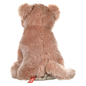 Back view of a plush teddy bear on a white background