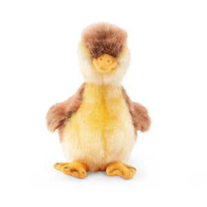 Plush toy duck with brown head and feet on a white background