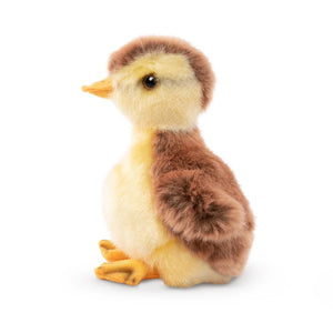 Plush toy duckling on a white background