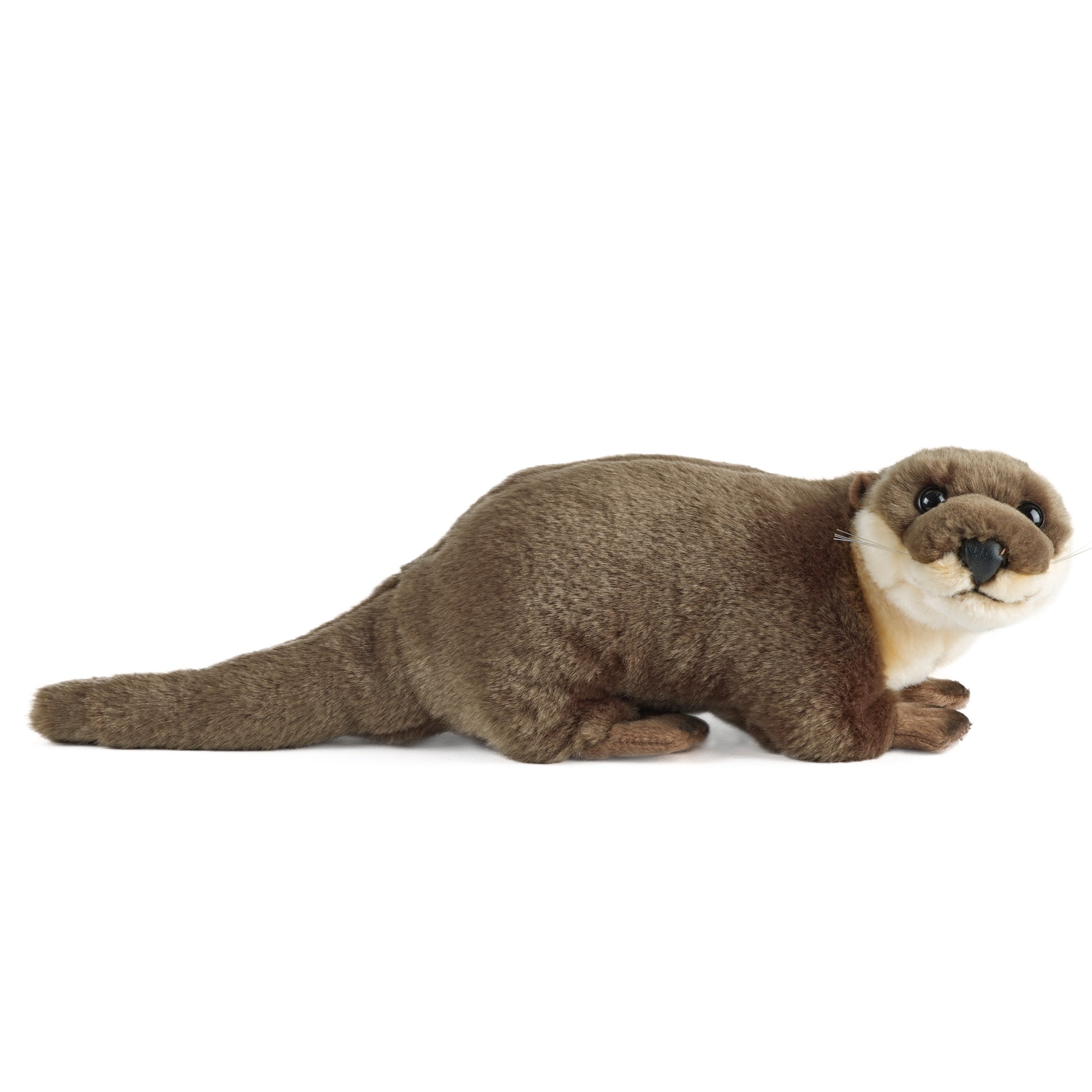 Plush toy otter on a white background