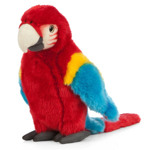 Colorful stuffed parrot toy on a white background