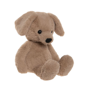 Brown teddy bear on a white background