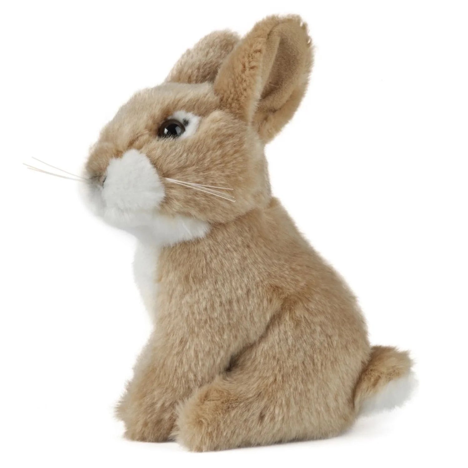 Plush rabbit toy on a white background