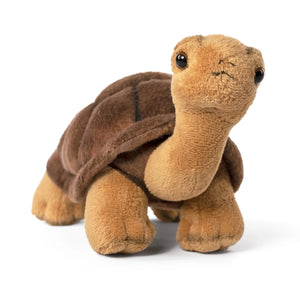 Plush turtle toy on a white background