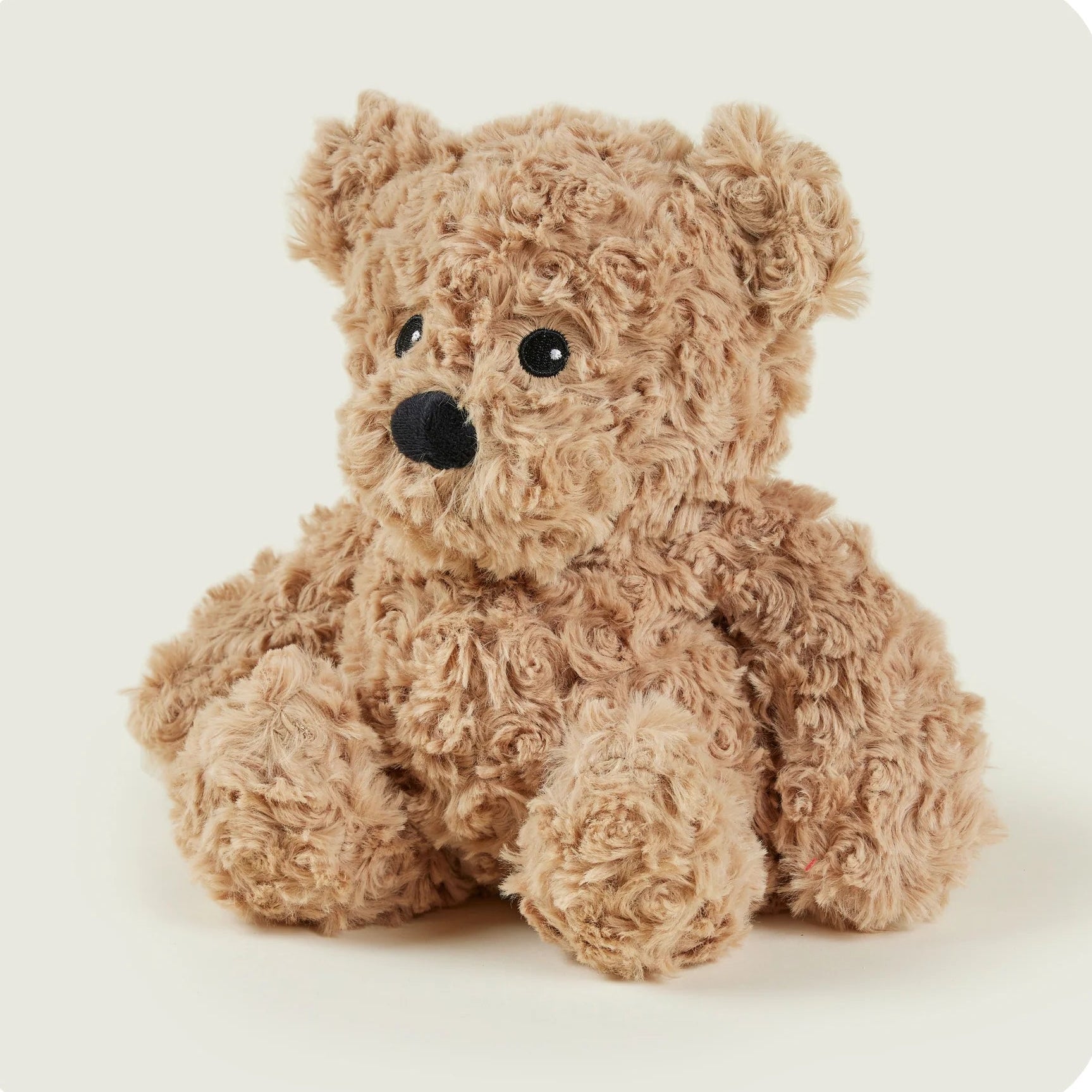 Brown teddy bear on a white background
