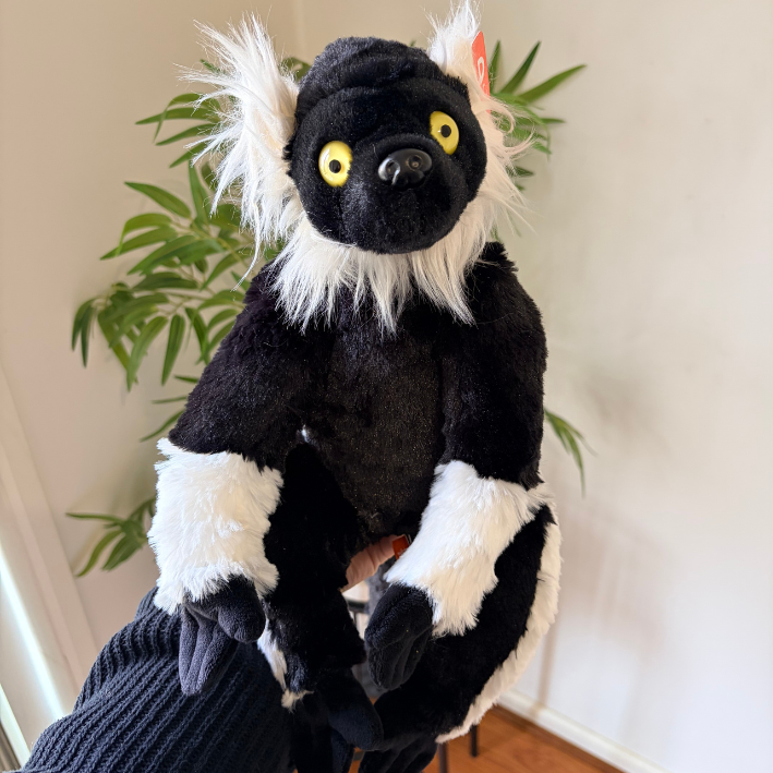 A black and white plush lemur toy with yellow eyes, held up by a hand in a dark ribbed sleeve against an indoor background with a plant and light wall.