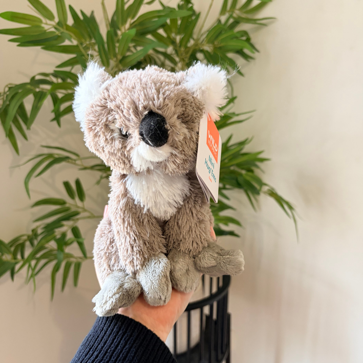 A plush koala toy being held in a person's hand, with a green plant and light-colored wall in the background.