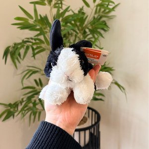 A small black and white plush bunny keychain is held in a person's hand, with a green potted plant and a light-colored wall in the background.