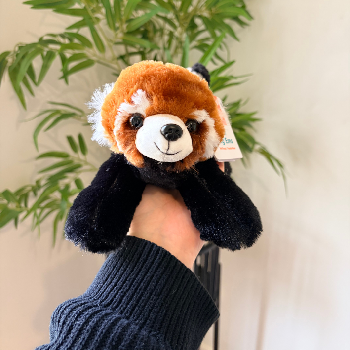 A plush red panda hand puppet being held up by a person's hand, with a green plant and light-colored wall in the background.