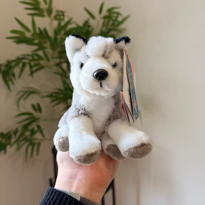 A small plush wolf toy being held in a person's hand, with a hanging tag attached. The toy is white with gray and black details, and the background shows a softly blurred indoor setting with a plant and light wall.