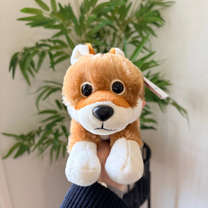 A small plush dog toy with orange-brown fur, white paws and muzzle, and black eyes, held in front of a green plant against a light wall.