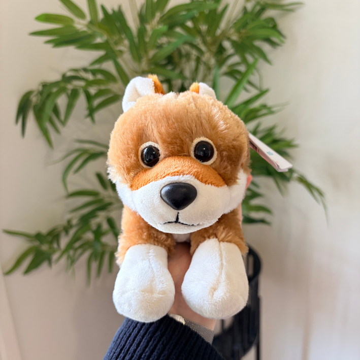 A small plush dog toy with orange-brown fur, white paws and muzzle, and black eyes, held in front of a green plant against a light wall.