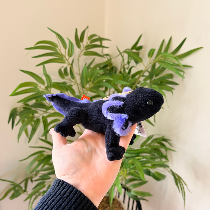 A small plush dragon toy being held in a person's hand, with a green potted plant and beige wall in the background.
