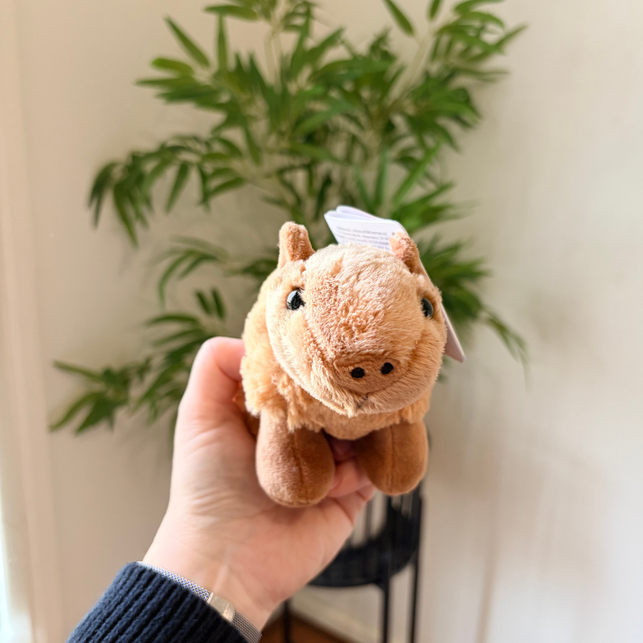 A small plush capybara toy held in a person's hand, with a green potted plant in the background.