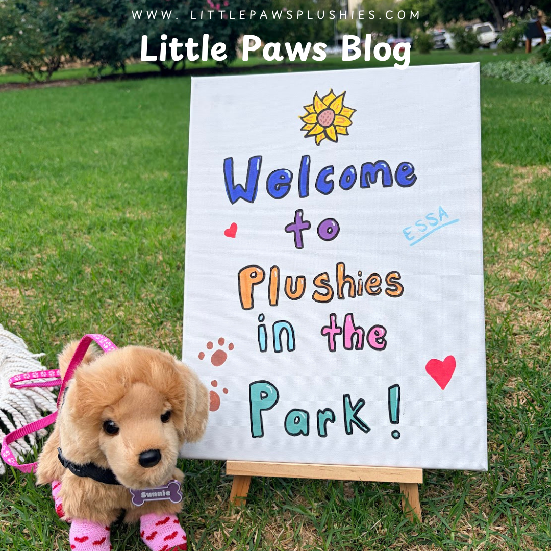 From Anxiety to Belonging: What Happened at Plushies in the Park