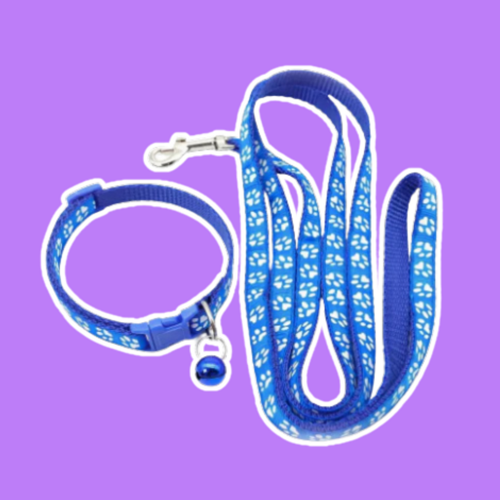 Leashes & Collars