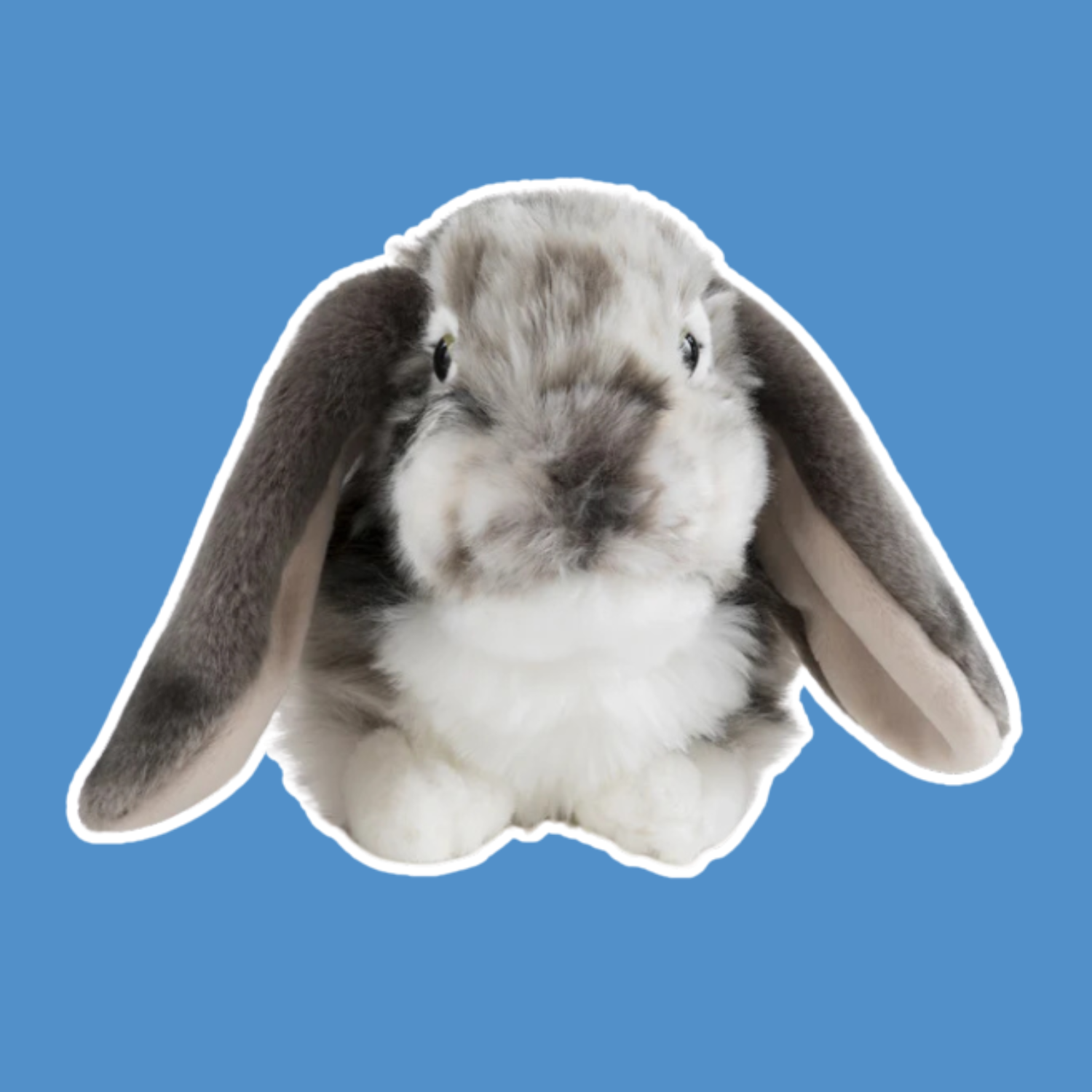 Rabbits | Living Nature