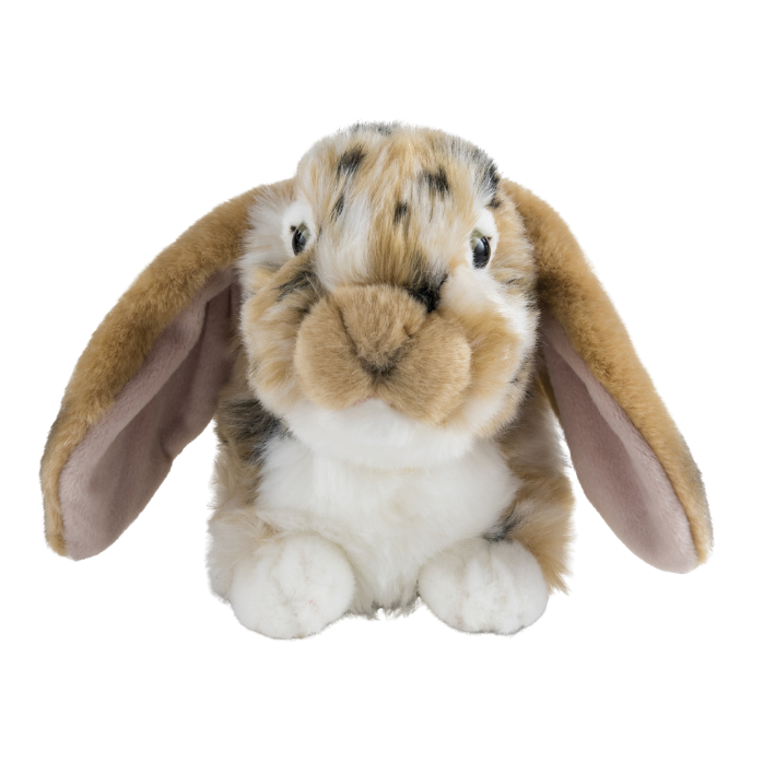 Rabbits | Living Nature
