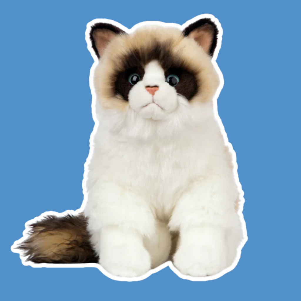 Plush Cats