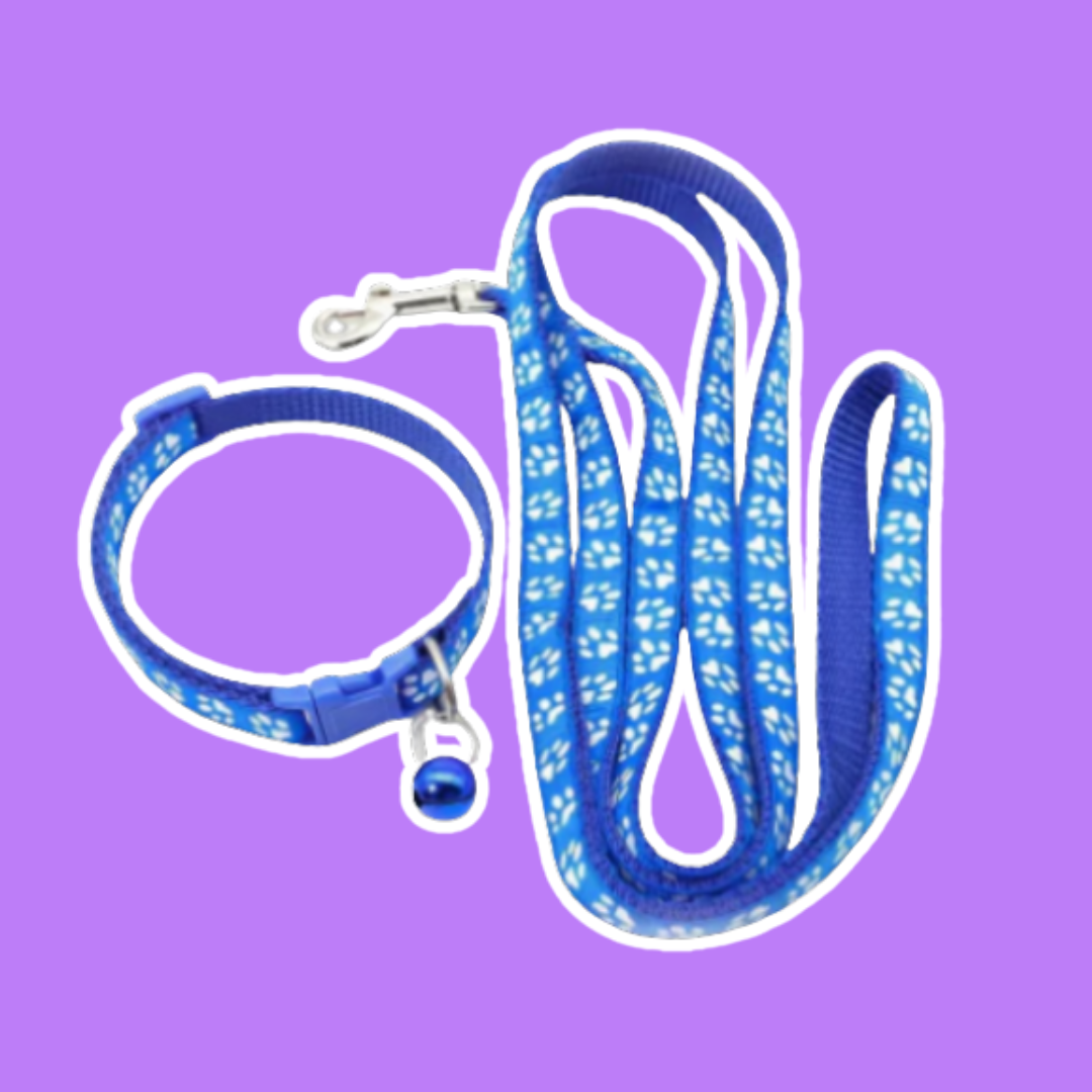Collars & Leashes