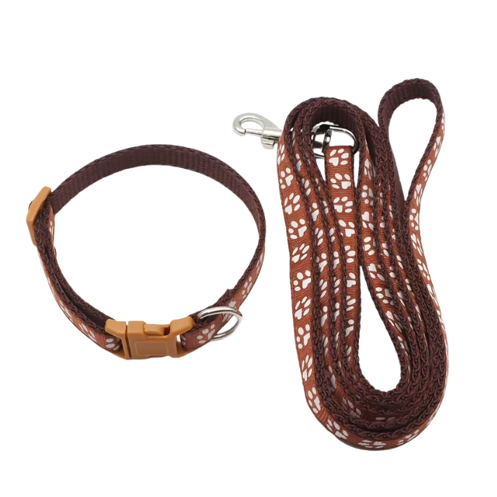 Collars & Leashes