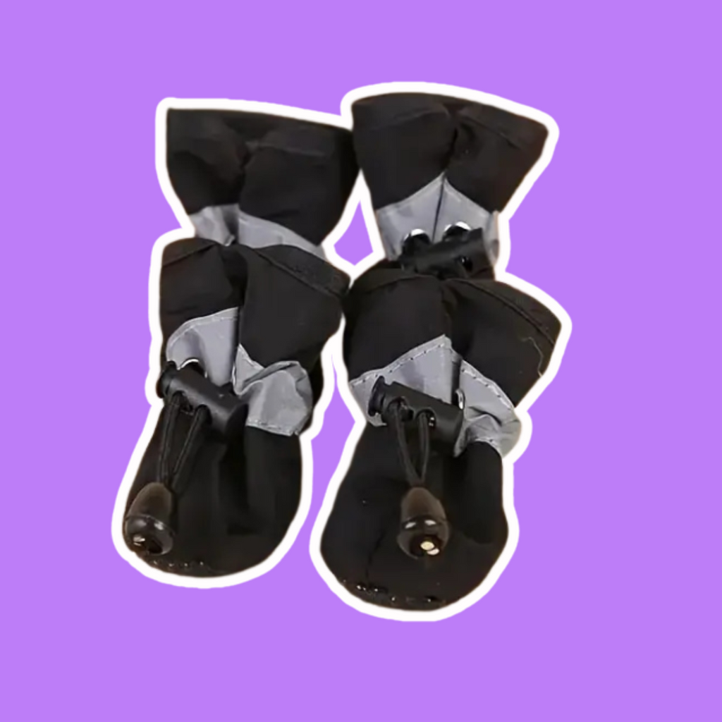 Boots & Shoes