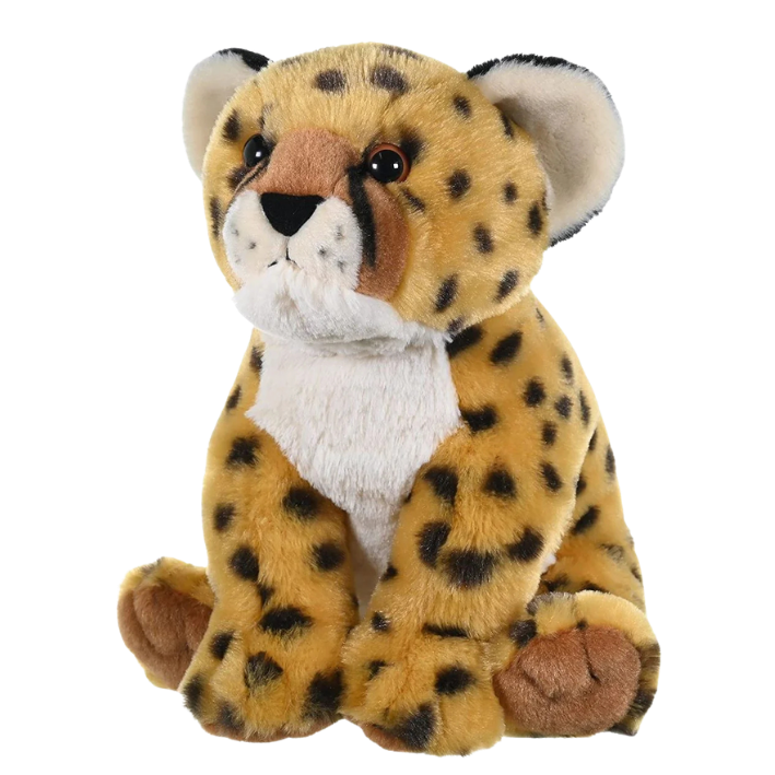 Big Cats | Wild Republic