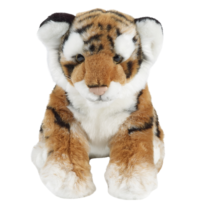 Big Cats | Living Nature
