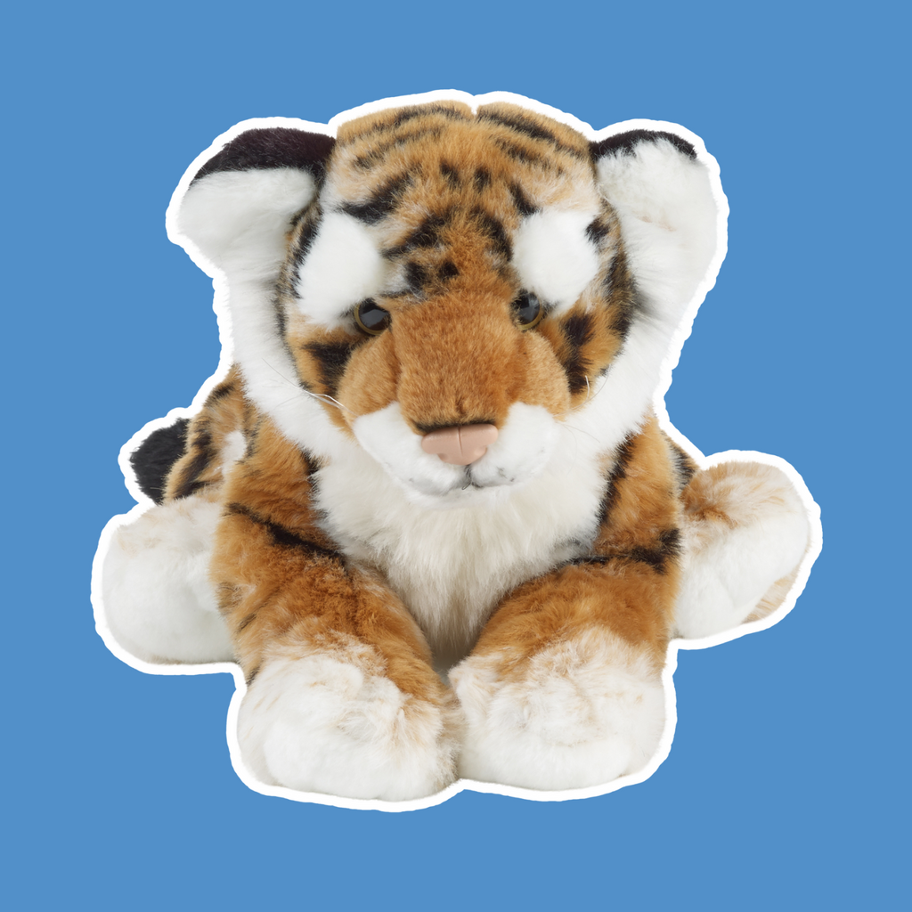 Big Cats | Living Nature