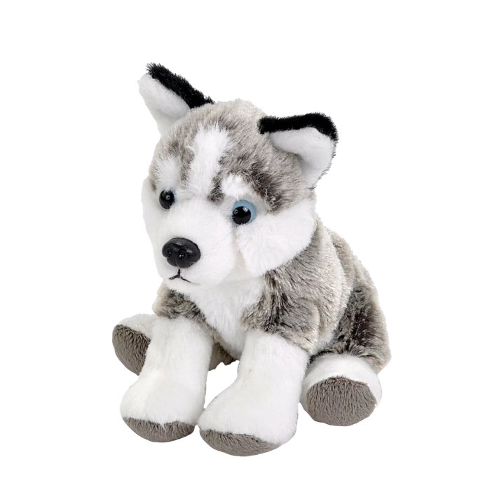 Pocketkins 5"
